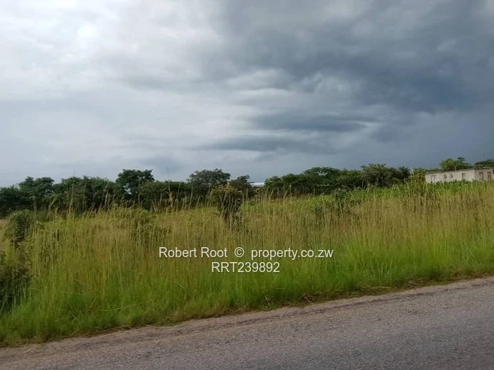 Two Prime Land for Sale in Concession (Each having 5000m2)