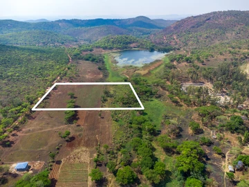 Farm & Agricultural Land