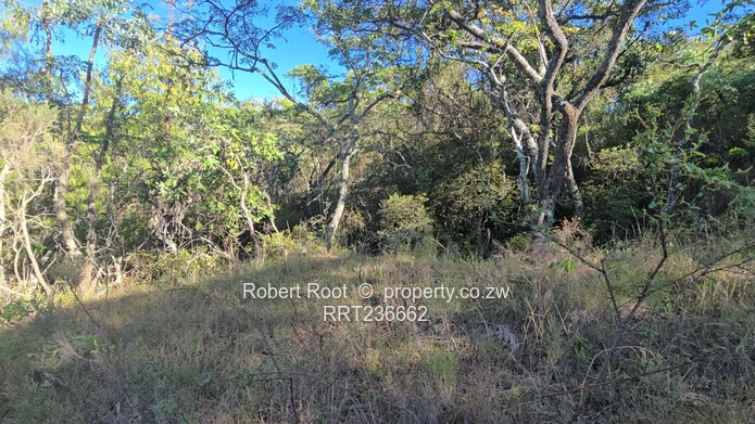 Picturesque Stand For Sale Juliasdale, Inyanga