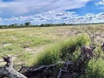 Farm & Agricultural Land