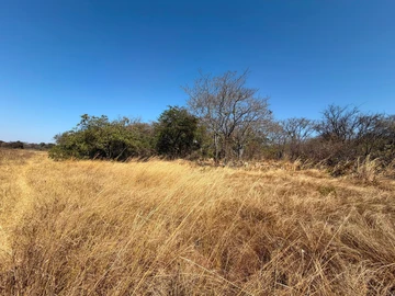 Commercial & Industrial Land