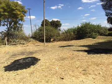 Stands & Residential Land