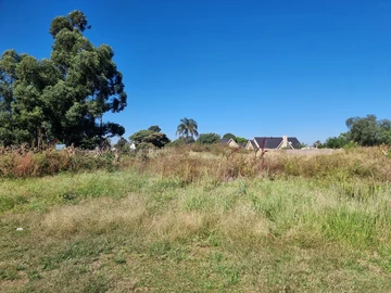 Stands & Residential Land