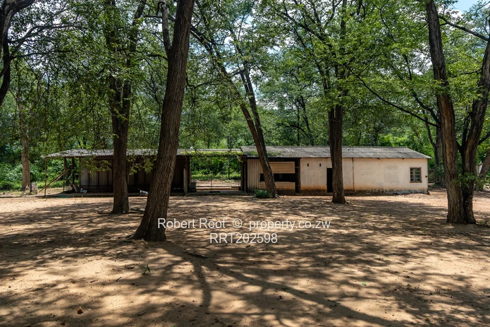 Lake Frontage property on 8.5 hectares (21 acres)