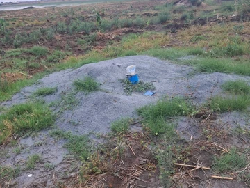 Farm & Agricultural Land