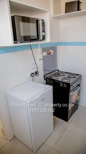 1 bed furnished apartment in Avenues