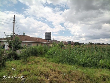 Stands & Residential Land