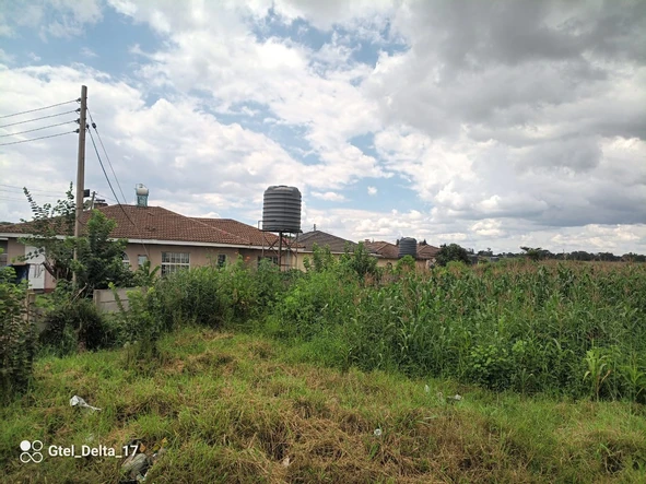 Stands & Residential Land