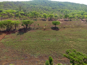 Farm & Agricultural Land