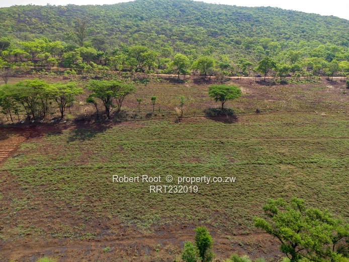 Agro-Residential Plot Cromlet Township