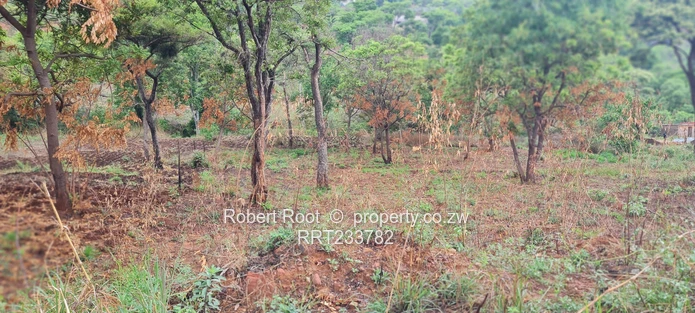 Build your dream home!