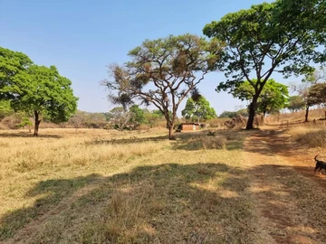 Farm & Agricultural Land