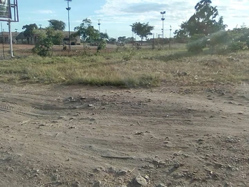 Farm & Agricultural Land