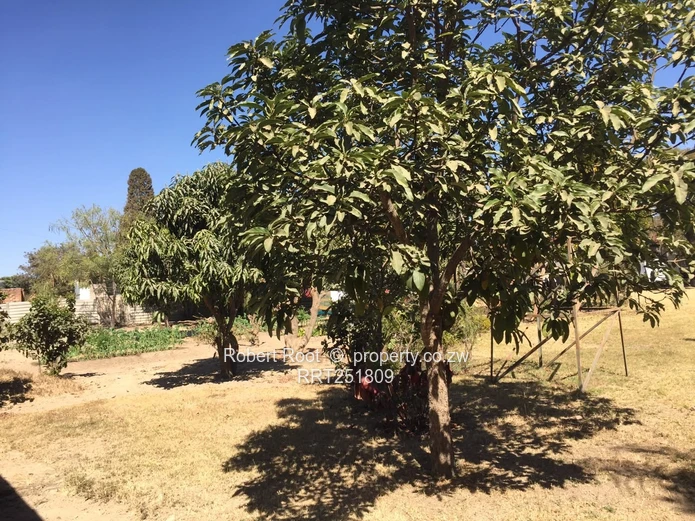  Prime 1-Acre Parktown Property with Separate Cottage