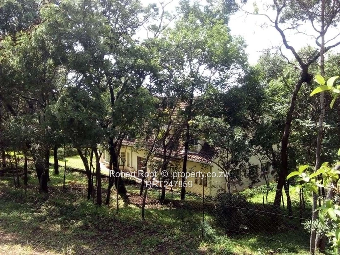 Palatial Lakeview Estate with Endless Commercial Potential.