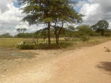 Farm & Agricultural Land