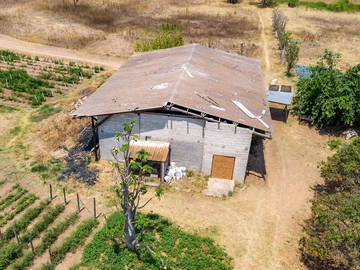 Farm & Agricultural Land