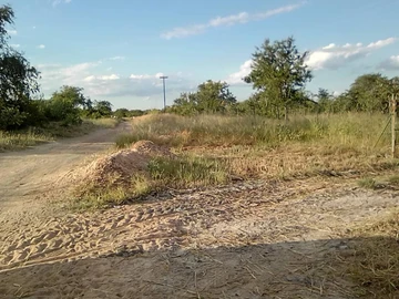 Farm & Agricultural Land