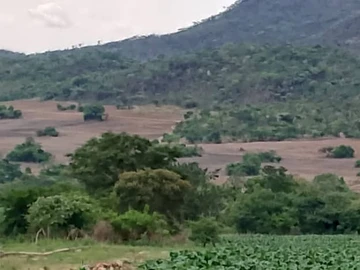 Farm & Agricultural Land