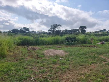 Commercial & Industrial Land