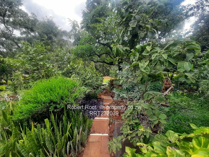 5 bed family home in Bluff Hill