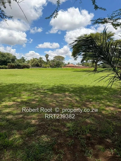 Investor's Delight, Commercial Land 