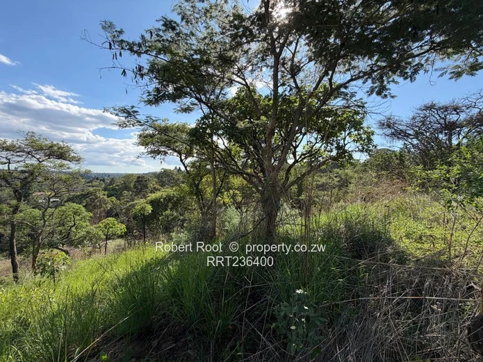 Build your dream home. Breathtaking views!