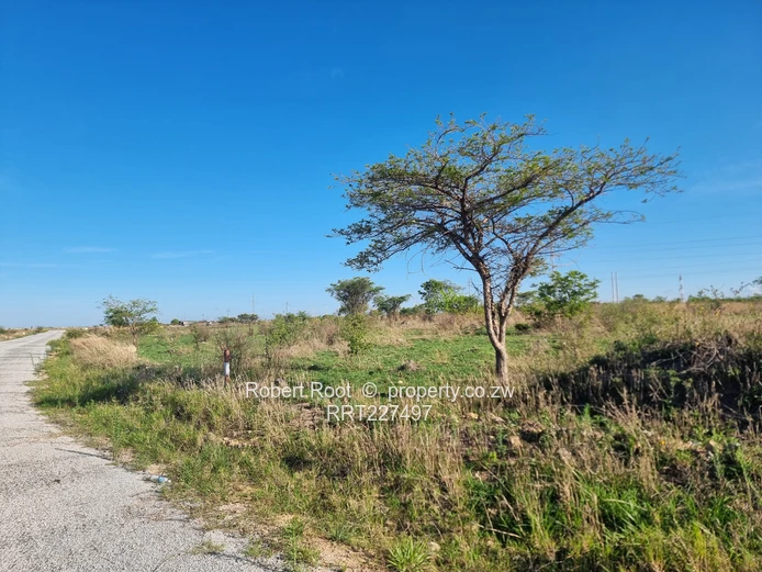 Exceptional Land Investment Opportunity In Gweru