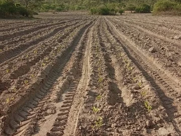 Farm & Agricultural Land