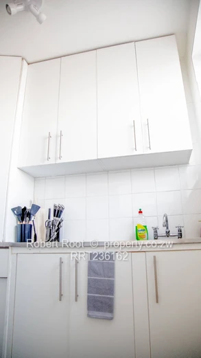 1 bed furnished apartment in Avenues