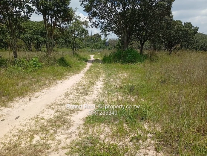 Agro-Residential Plot In Gardiner Area, Goromonzi!