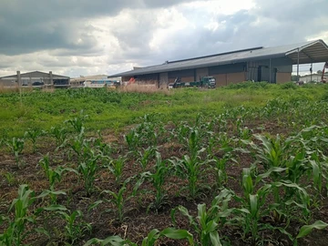 Commercial & Industrial Land