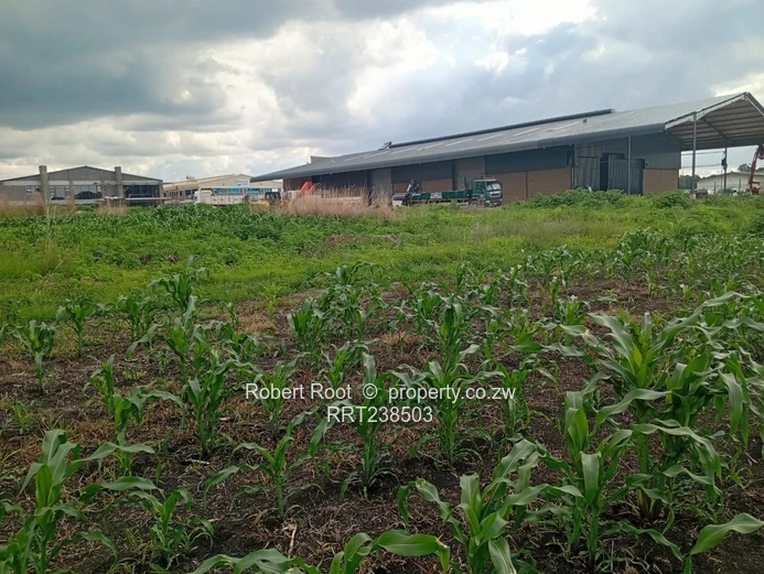  Industrial Stand for Sale.