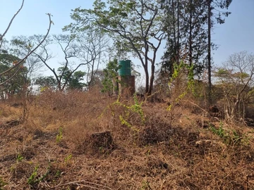 Farm & Agricultural Land