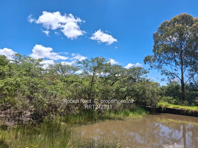 Nyanga Stands For Holiday Homes, Airbnb's & Lodges