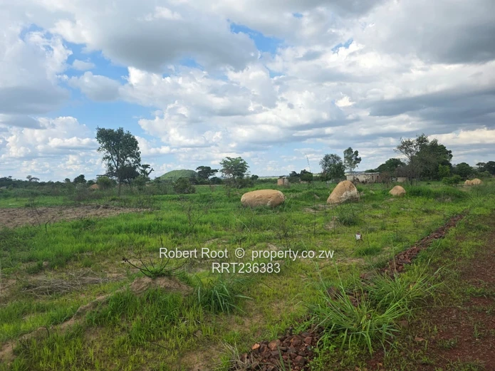 Residential Stands For Sale In Rockridge