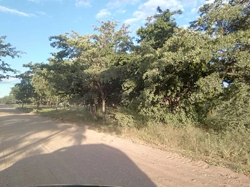 Farm & Agricultural Land