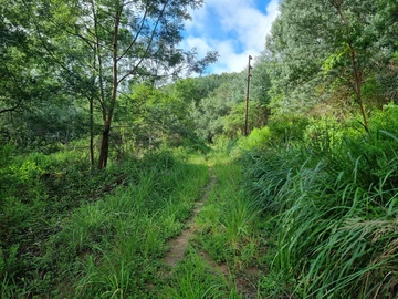 Farm & Agricultural Land