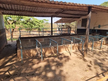 Stands & Residential Land