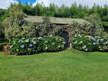 Farm & Agricultural Land