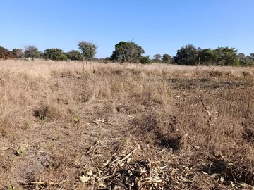 Land