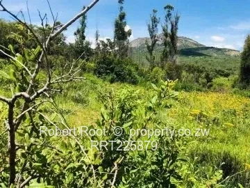 Expansive 99,000 m² Land in Scenic Nyanga - Your Dream Awaits! (Sole Mandate)