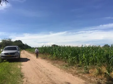 Farm & Agricultural Land