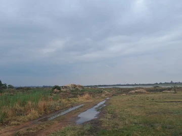 Farm & Agricultural Land