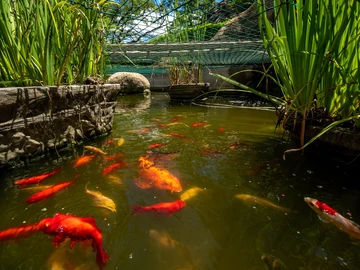 3 Bedroom Townhouse Complex