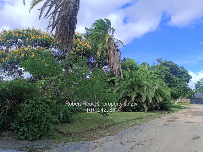 3 bed family home in Avondale West