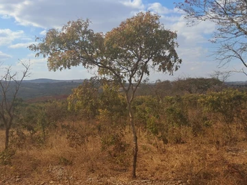 Farm & Agricultural Land