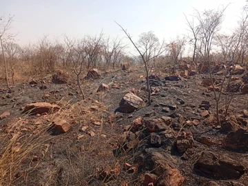 Farm & Agricultural Land