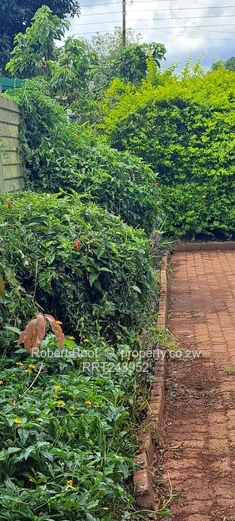 House For Sale In Belvedere