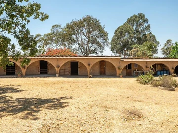 Farm & Agricultural Land